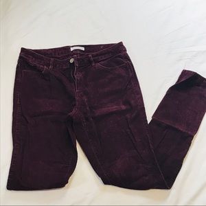 LOFT Curvy Skinny Cords